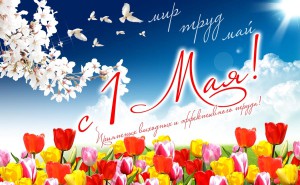 may_card